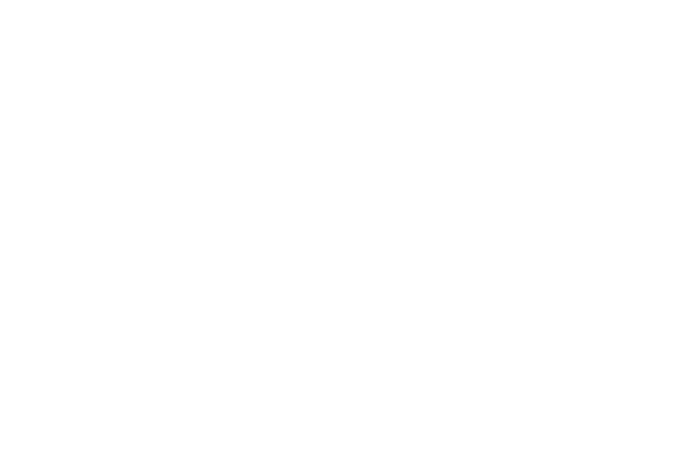 Tudo Di Bom